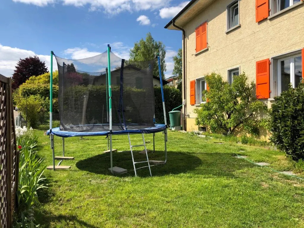 Au Bonheur des Iris