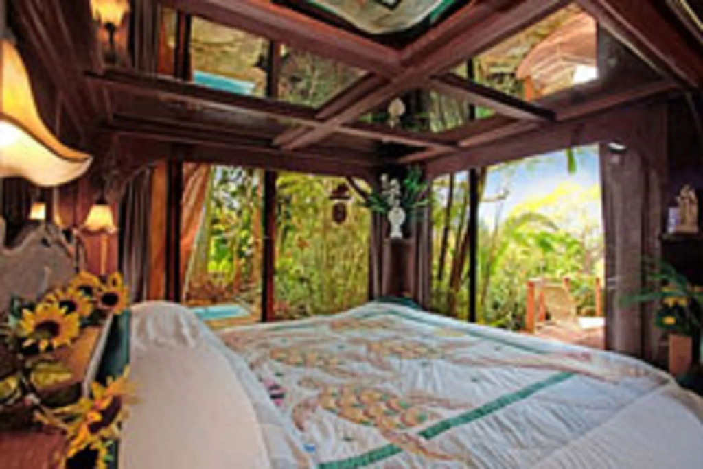 Dragonfly Ranch