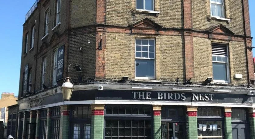 The Birds Nest Hostel