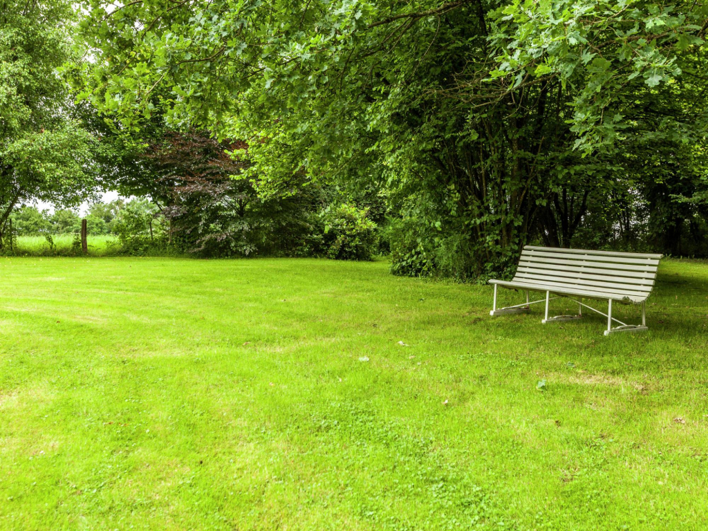 Peaceful Nature Stay in Bohon