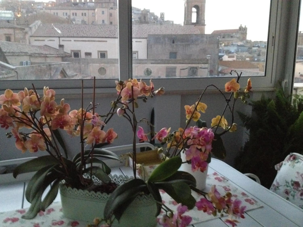 Attico Da Rosa con vista spettacolare a 360 gradi