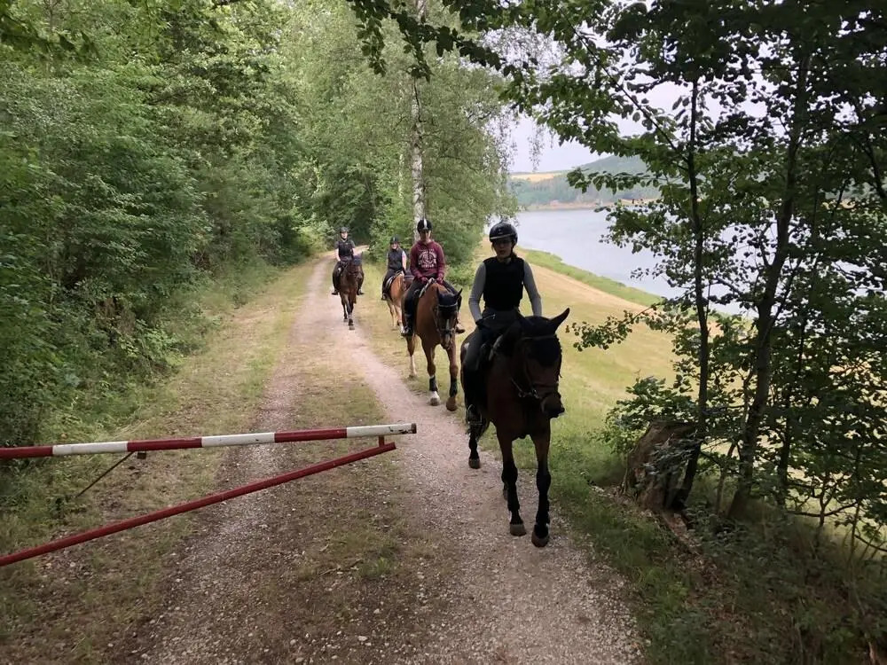 Pension & Reitschule Fuchsenhof