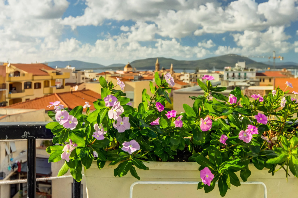 Alghero Roof Garden