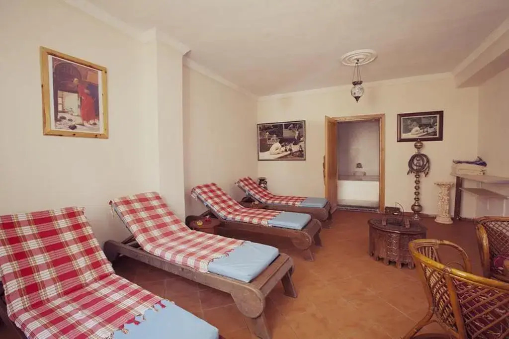 Catty Cats Garden Hotel