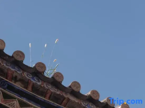 WeiShan Ancient City Pingchang Homestay