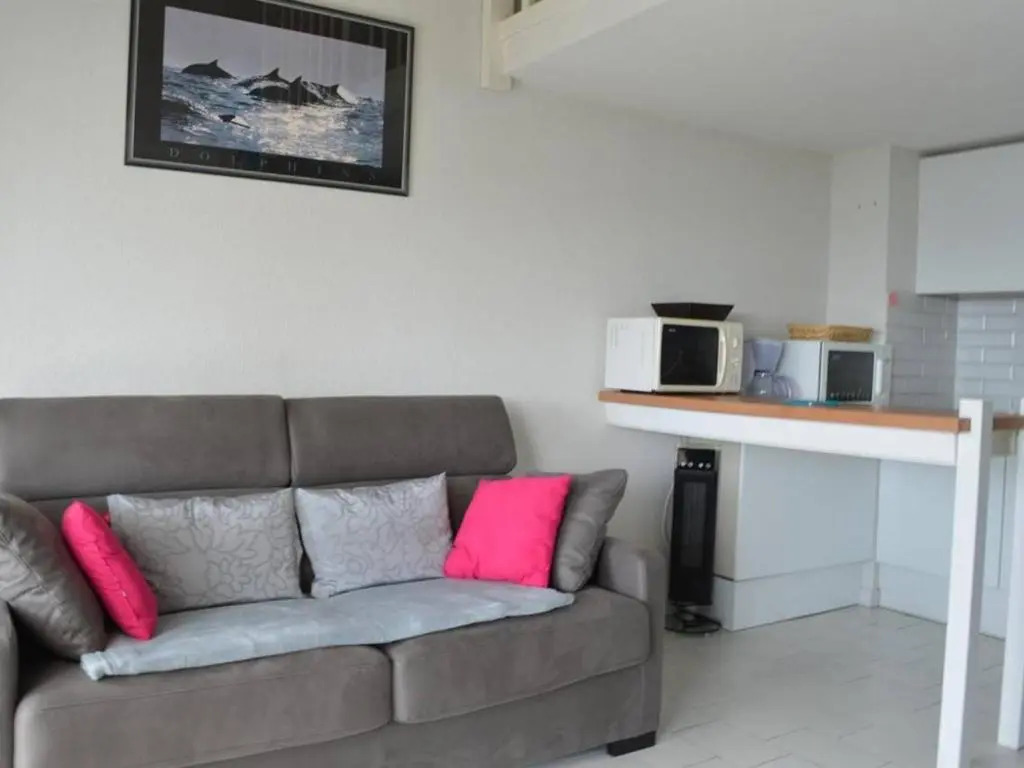 Appartement Argelès-sur-Mer, 2 pièces, 4 personnes - FR-1-225-56