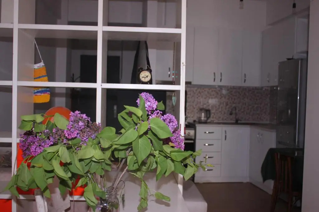 cosy studio appartment