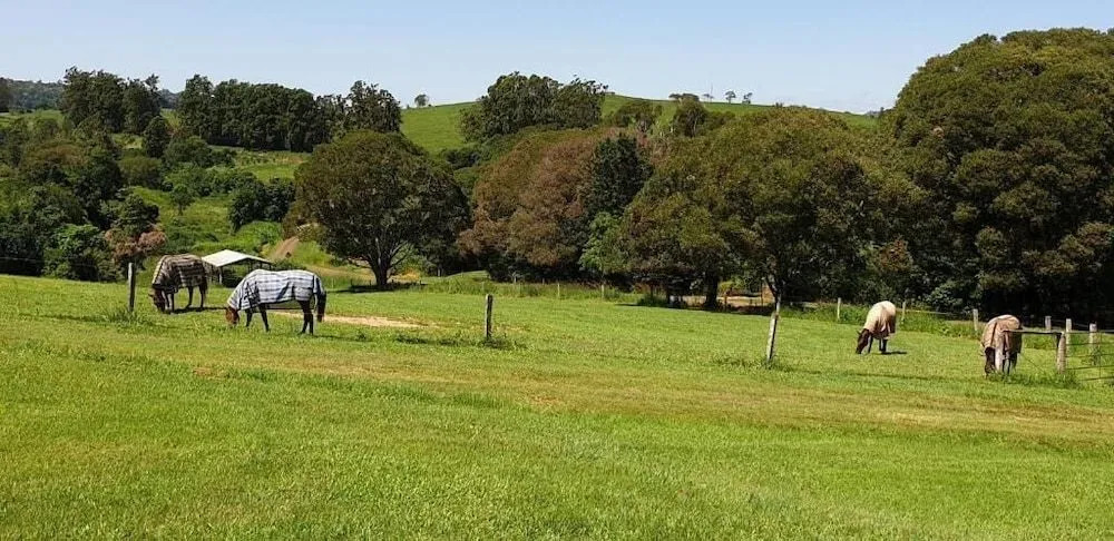 Yungaburra Lodge