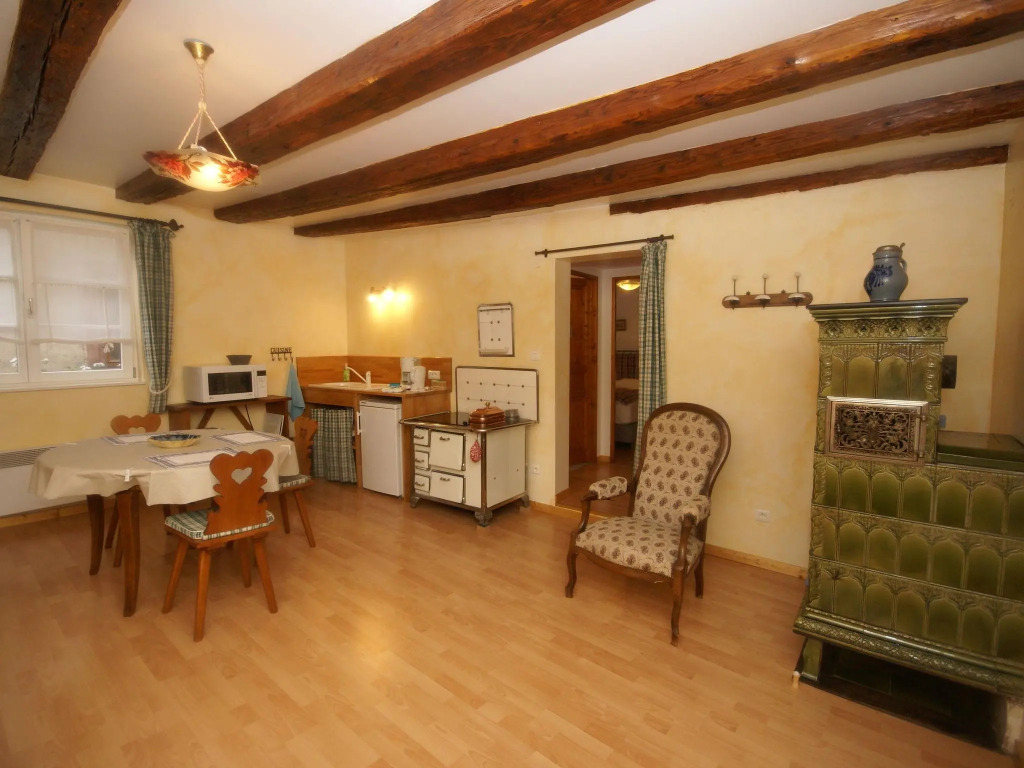 Apartment in Riquewihr near Vineyards