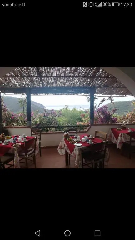Casa de rosa