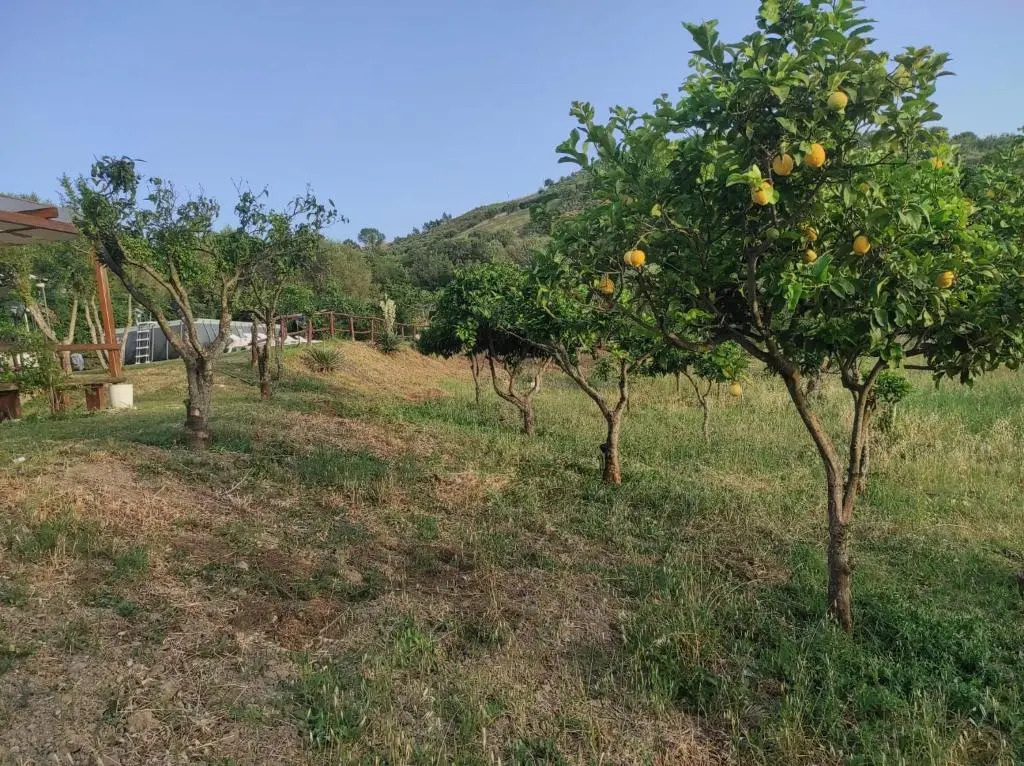 Zefiro Casa Vacanze