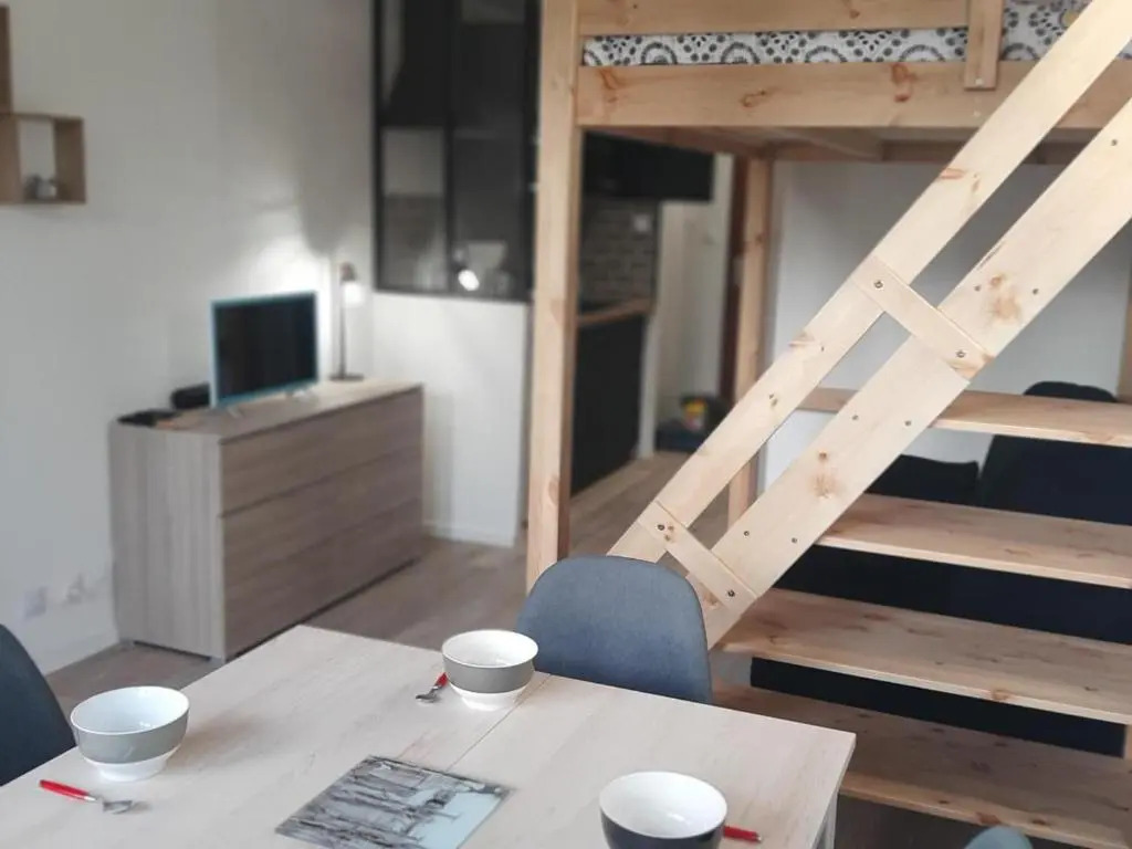 Appartement rénové 20m² au pied des pistes avec balcon et parking gratuit - FR-1-515-110