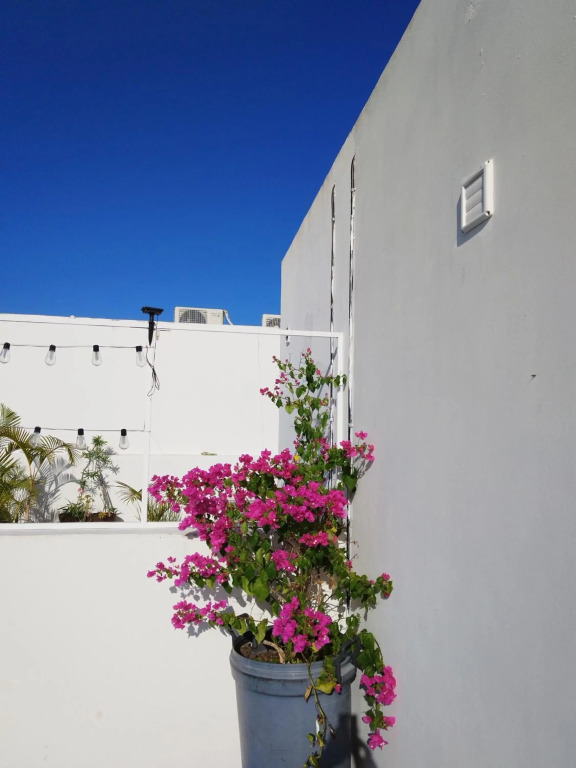 Residencial ParaÍso CASA JADE
