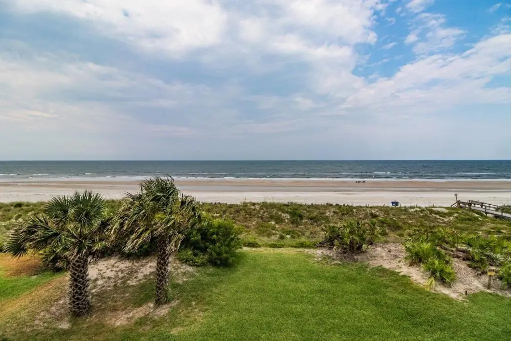 Sand Dollar 1-306
