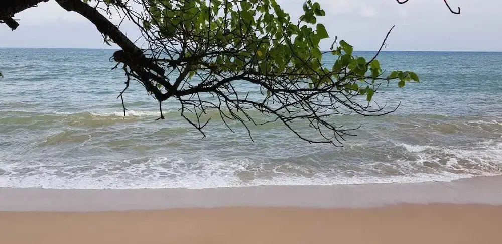 Blue Whale Beach Hotel