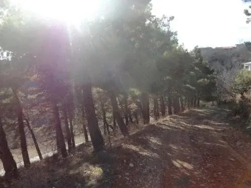 Tyupebi