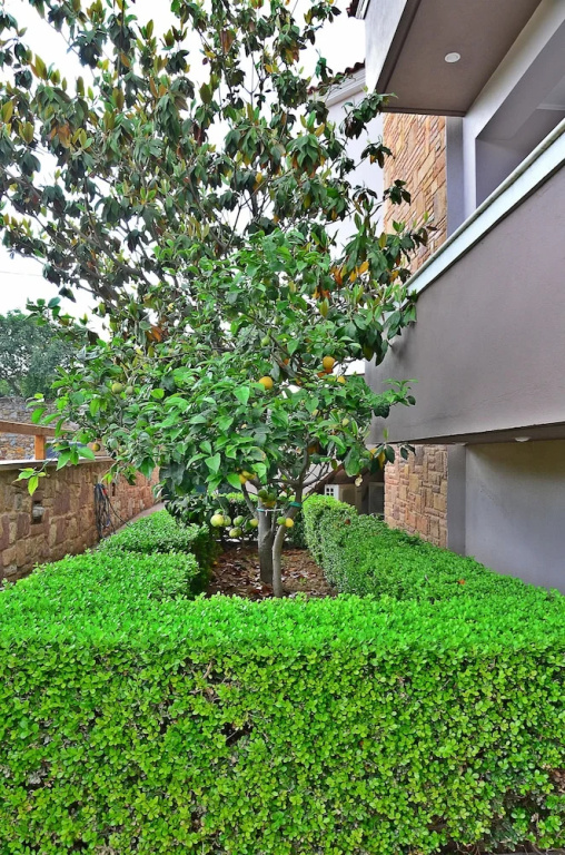 Mastiha Villas in Town