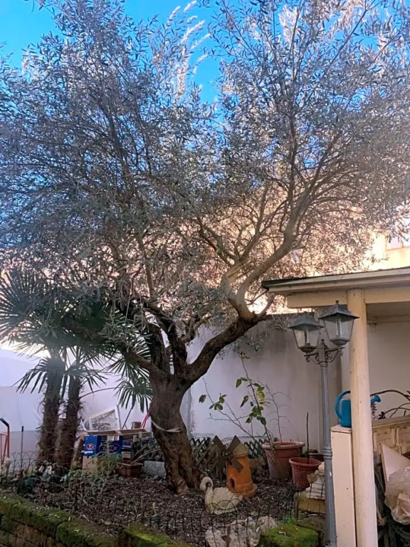 B&B Il Fiocinino