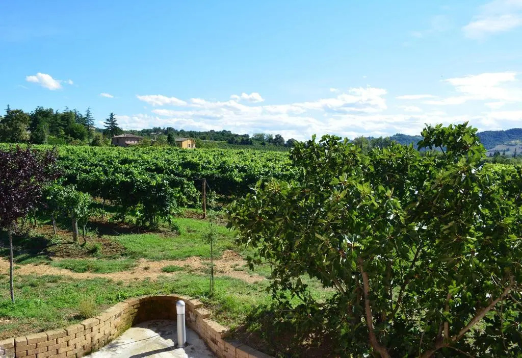 Le Stanze di Bacco