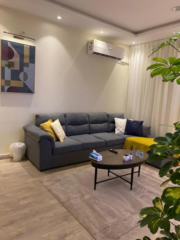 Elegant Apartment in Riyadh