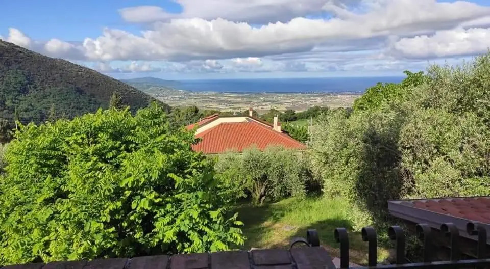 Gli Ulivi Apartment