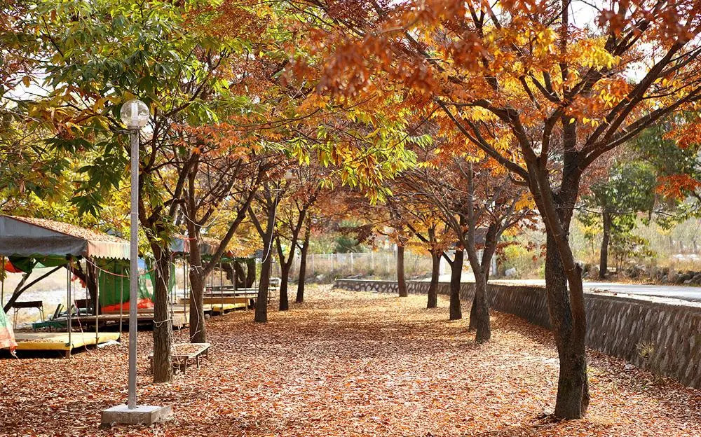 Gapyung amor pension gaegok suyoungjang