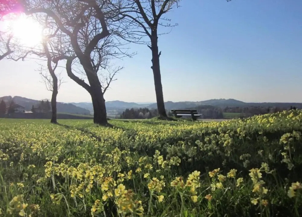 Holiday Apartment Siegsdorf in Bavaria