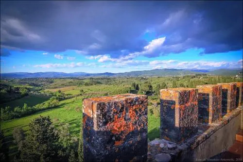 Azienda Agricola Torre Alberghieri