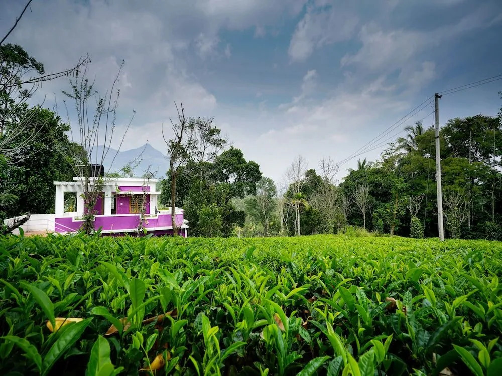 OYO 13548 Leaf Garden Cottage