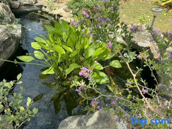 MyGarden Villa Binh Chau Hotspring