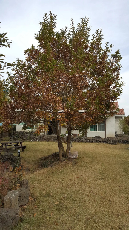 Supgol Pension