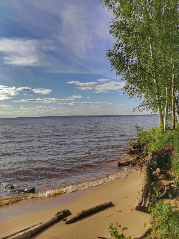Берег Грифона
