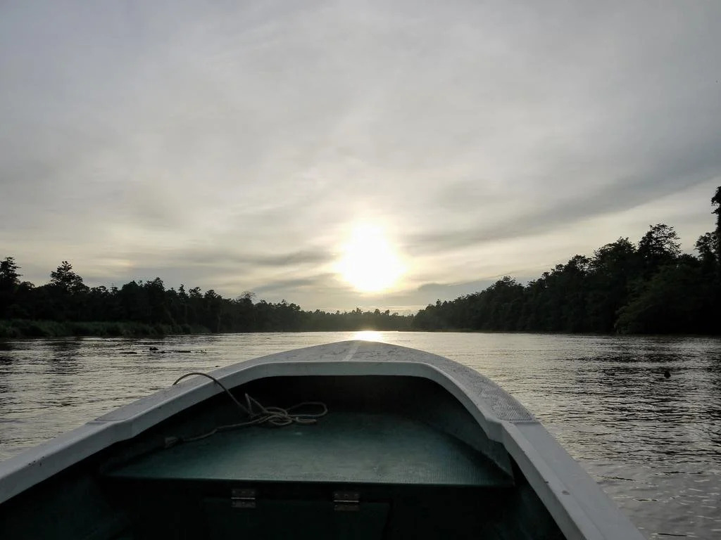 Bilit Rainforest Lodge