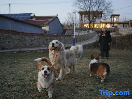 Nature in Nature Pet-friendly Courtyard（Jingzhuang）