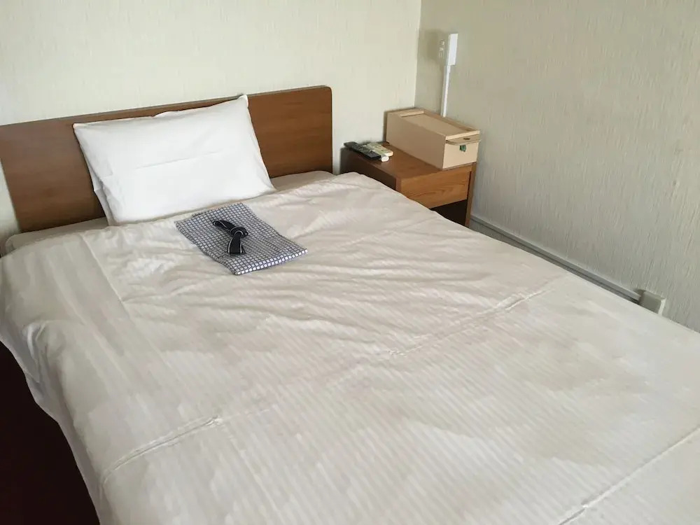 Royal Inn Nara