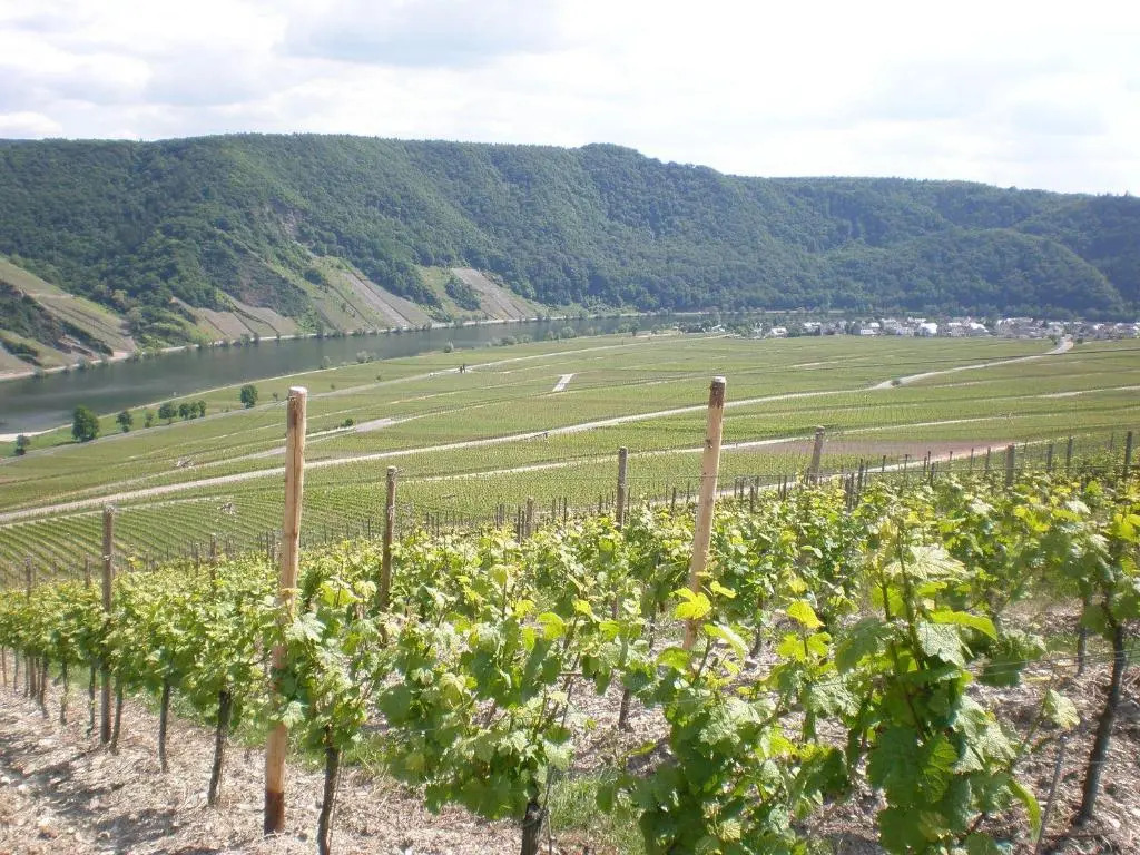 Holiday Home Weingut Mertes