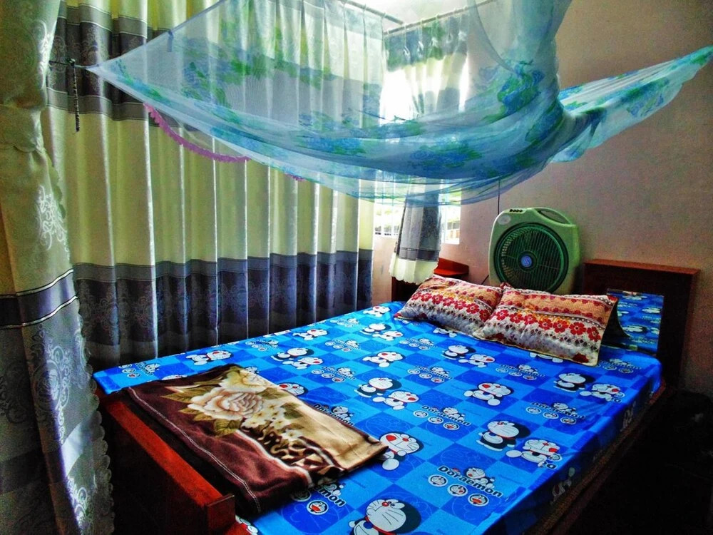 Flower & Frog Homestay