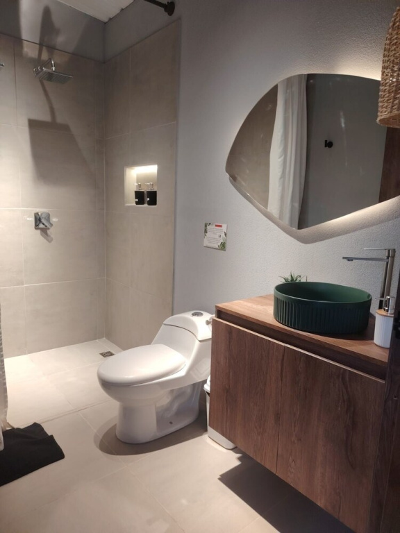 apartasuite con vista al bosque