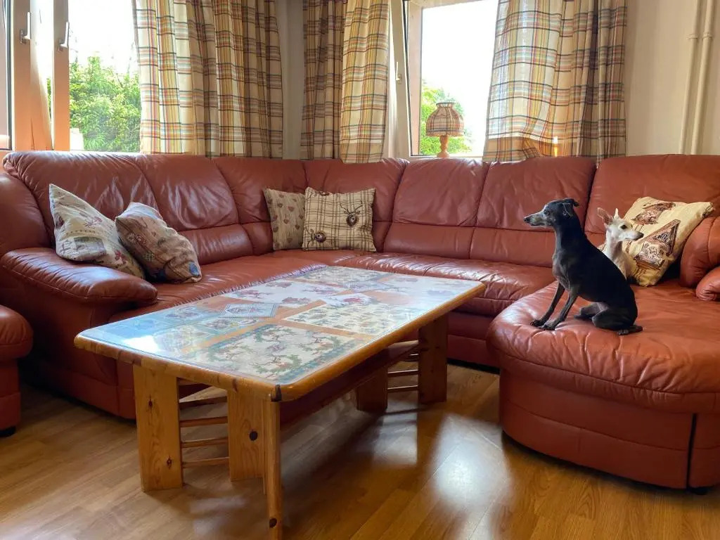Ferienhaus Frei 3 Budget