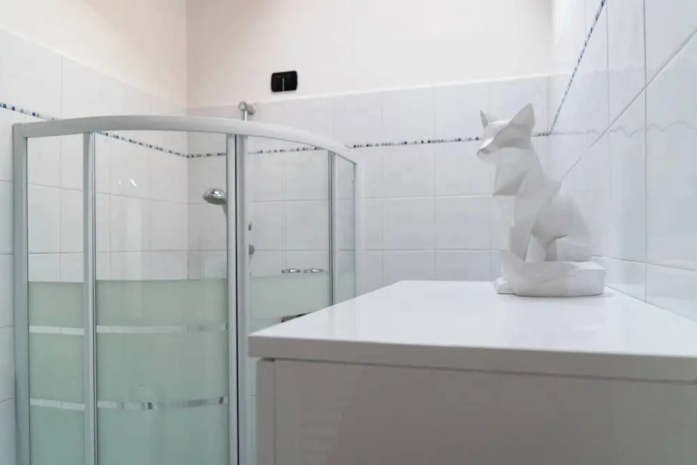 Large apartment in Milan center