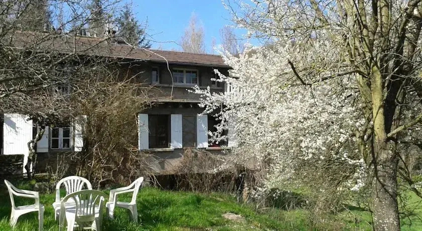 Cèdres Bleus de Joany chez Nathalie