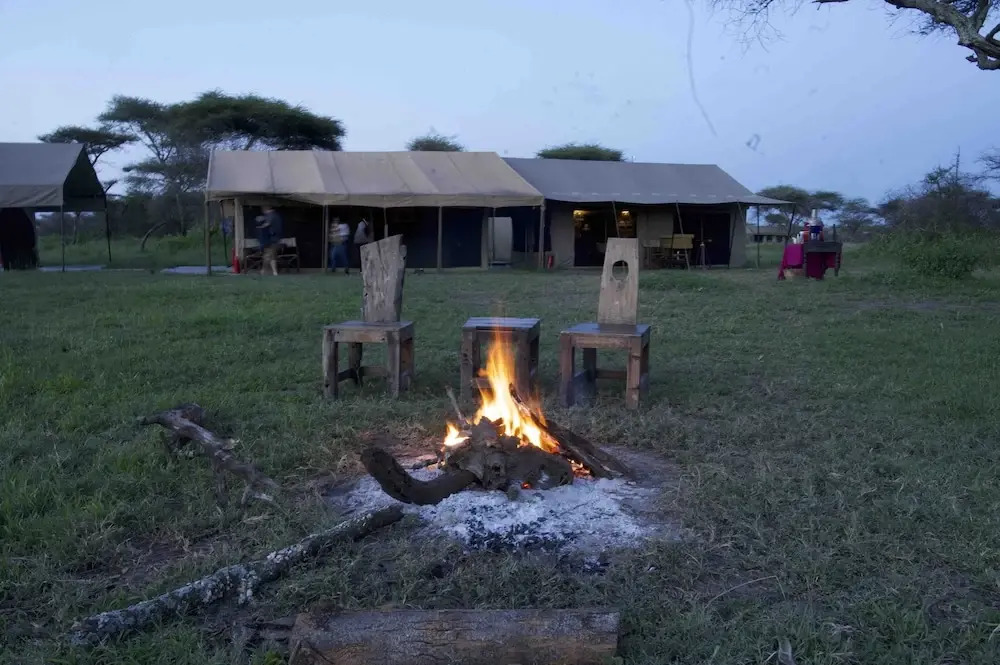 The Royal Migration Camp - All Inclusive