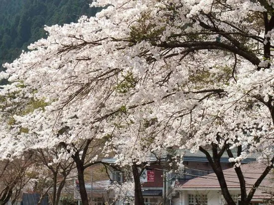Haga Onsen Fukaso