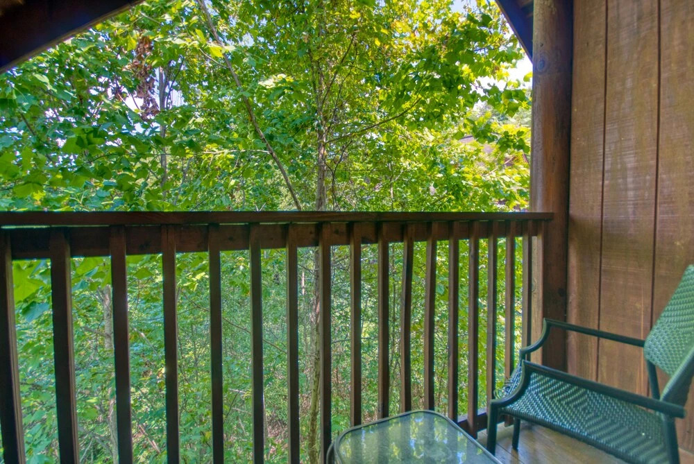 Cozy Bear Cove #288
