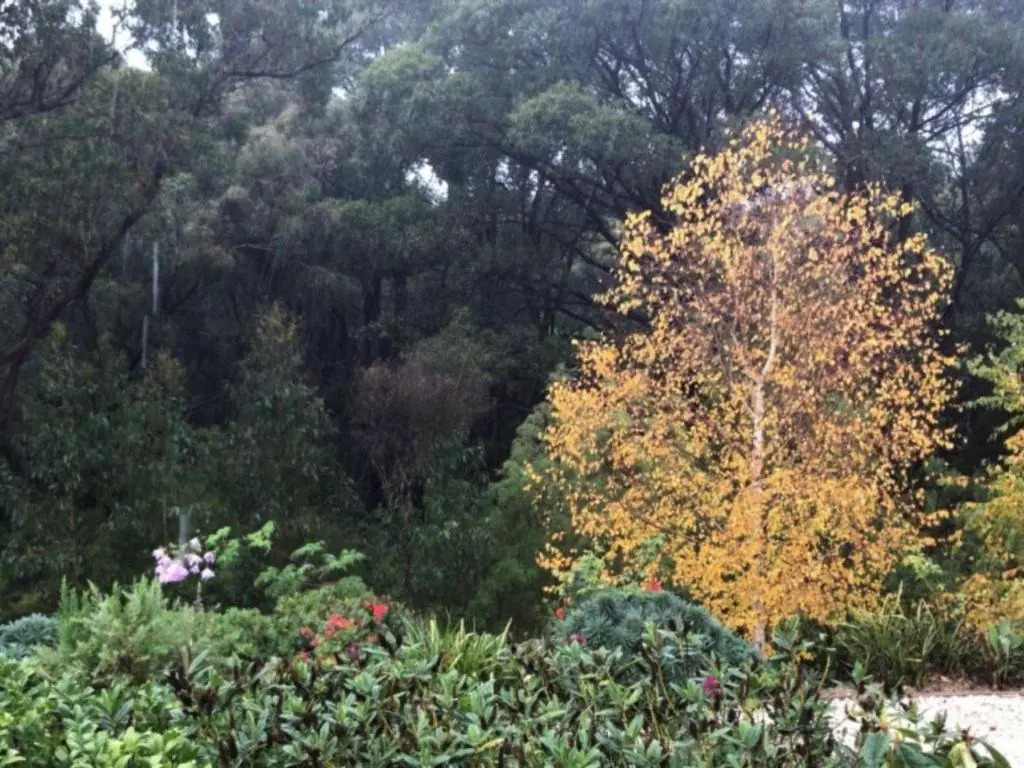 Mhara Downs Country Escape