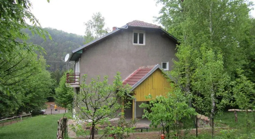 Guest House Floare