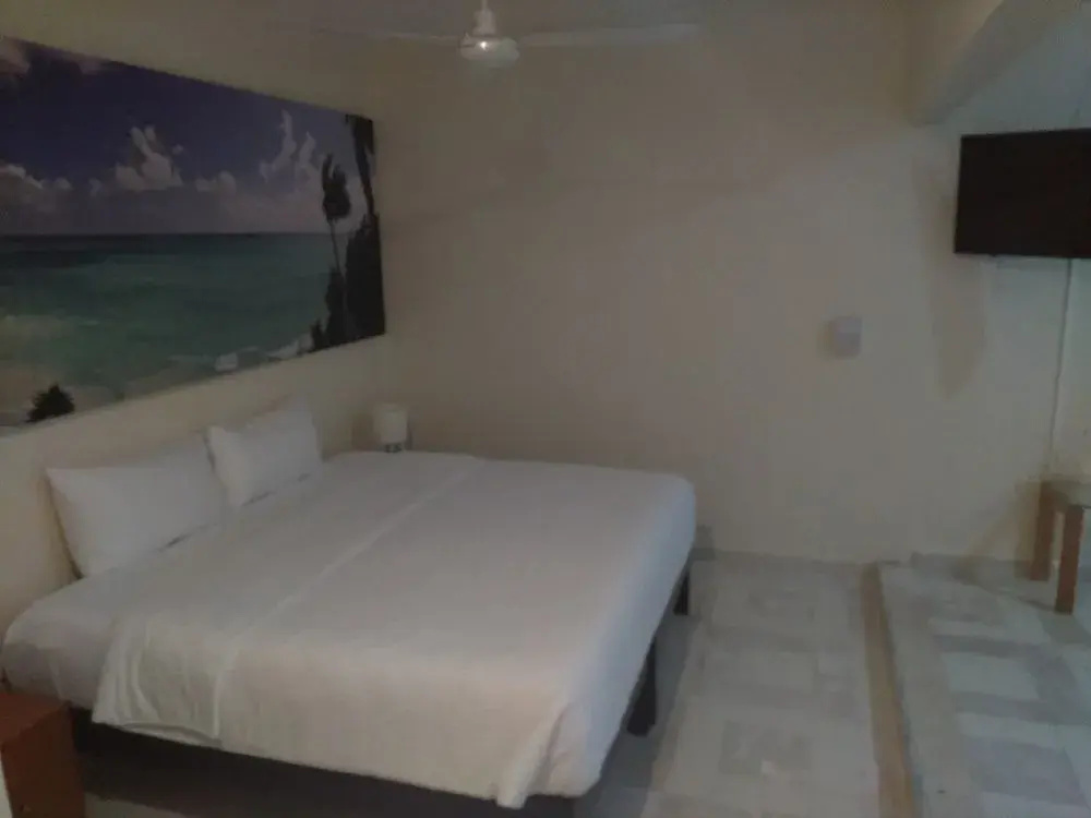 Apart Hotel Tortuga