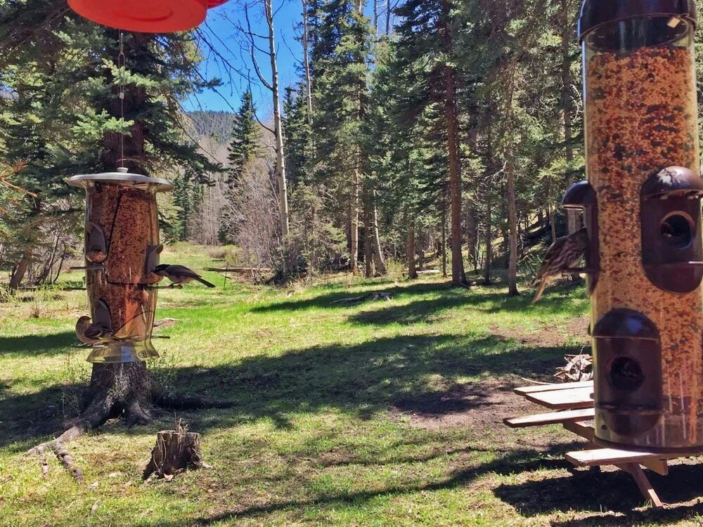 Copper_creek_chalet