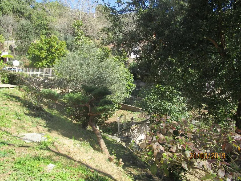 Chiapatella
