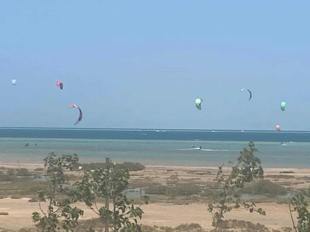 Mangroovy Gouna 1 BR apartment